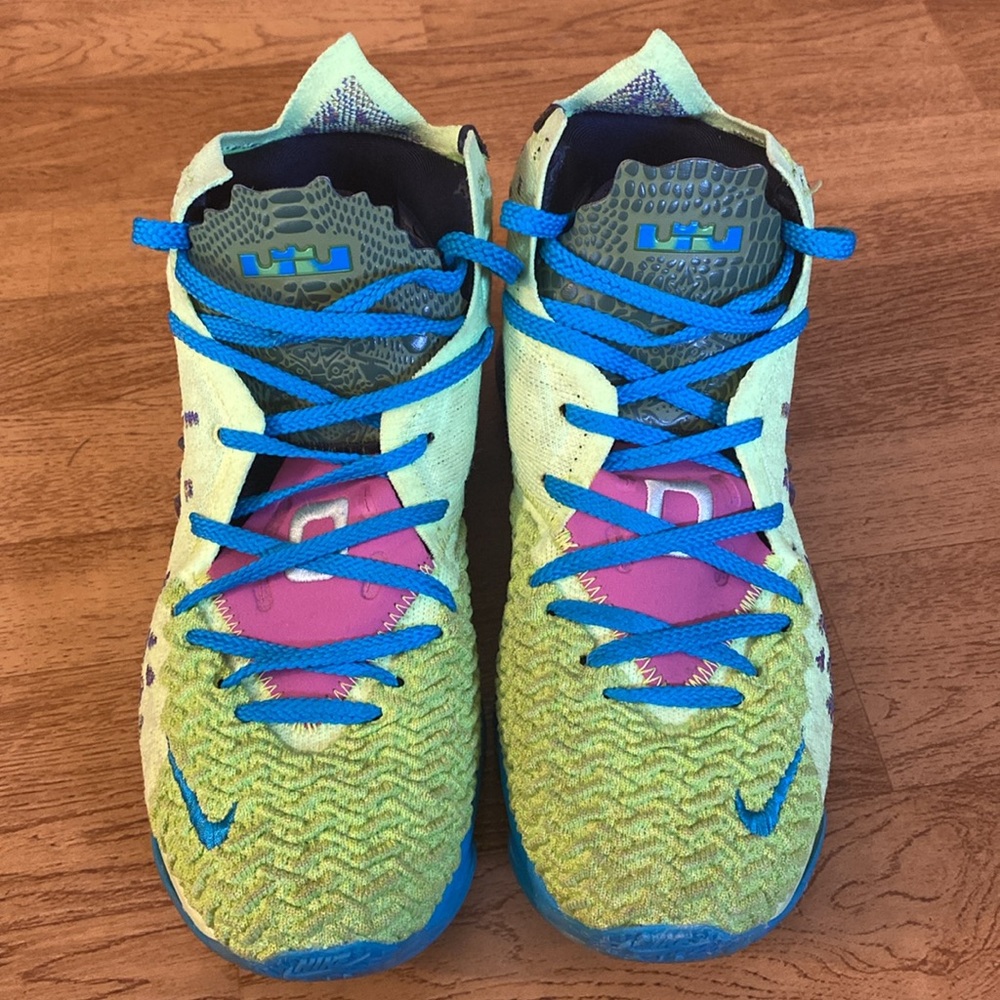 Nike Lebron 17 Mr. Swackhammer 6.5 men’s